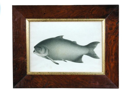 Lot 473 - English School  (19th Century)