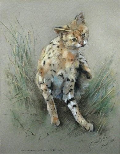 Lot 589 - J Hallett (British, 20th Century)