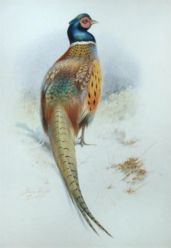 Lot 583 - George James Rankin, (1864-1937)